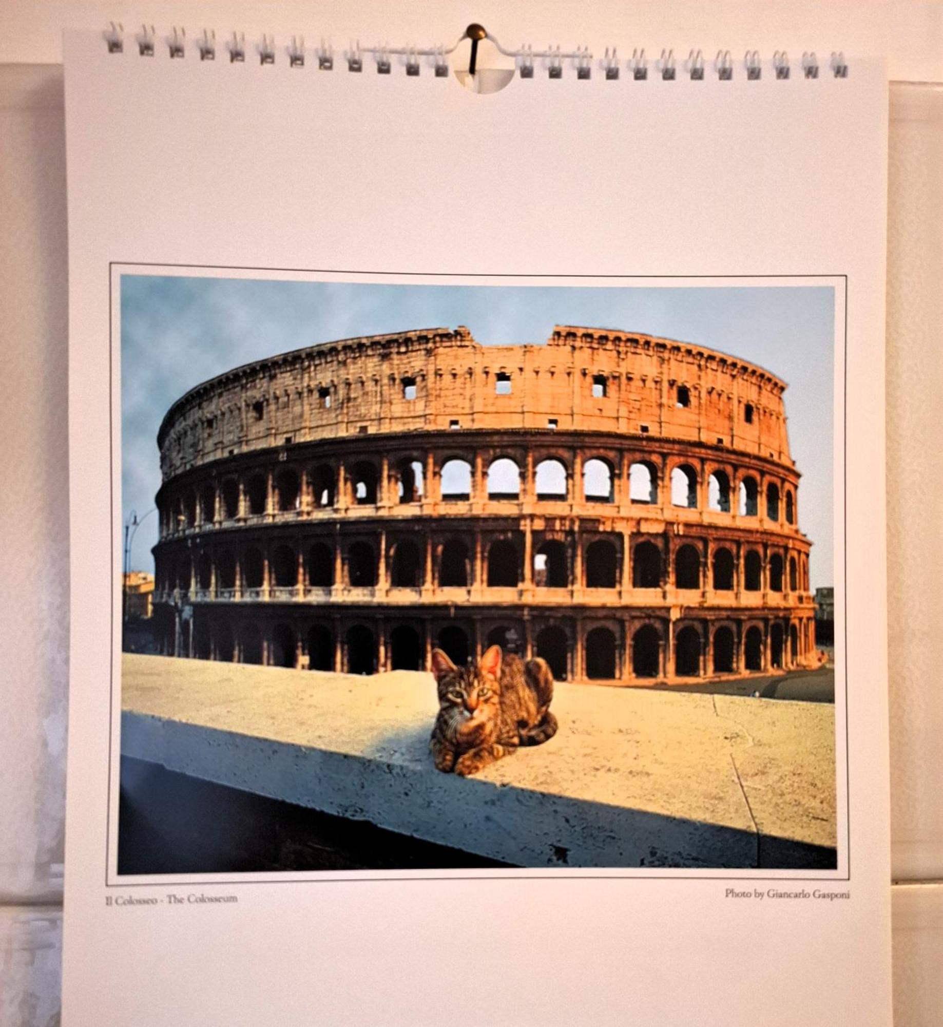 Appartamento Locazione Turistica Di Alberto Roma